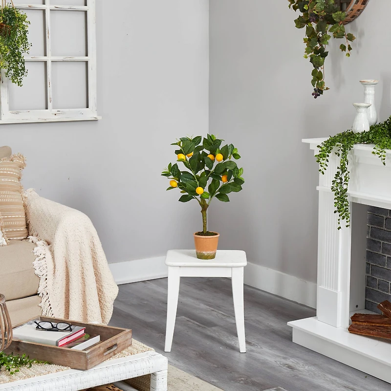 2ft. Lemon Tree in Brown Planter