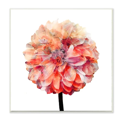 Stupell Industries Bright Coral Watercolor Bloom Dahlia Flower, 12" x 12"