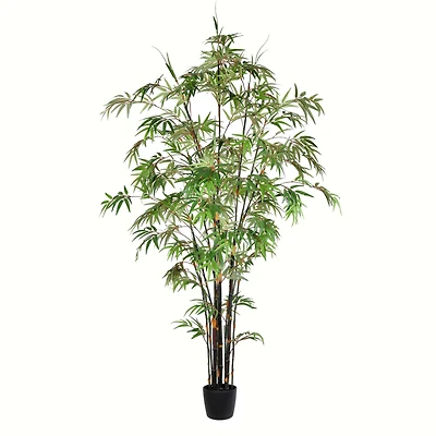 7ft. Potted Black Japanese Bamboo Tree