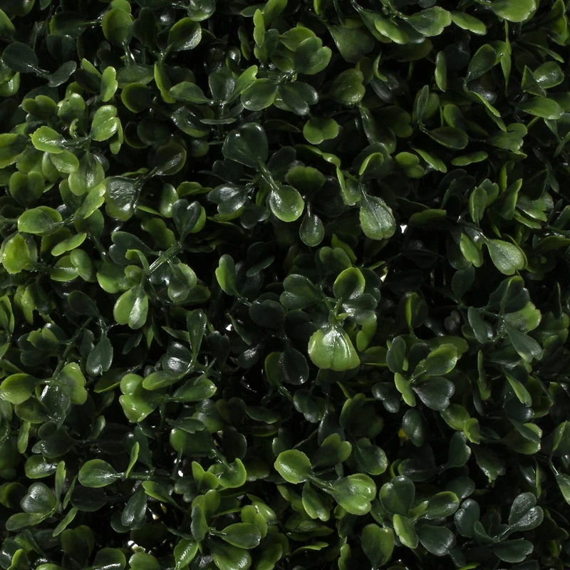 6ft. Potted Boxwood Cone Tree