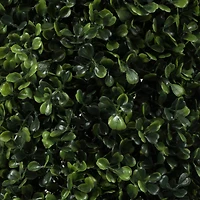 6ft. Potted Boxwood Cone Tree