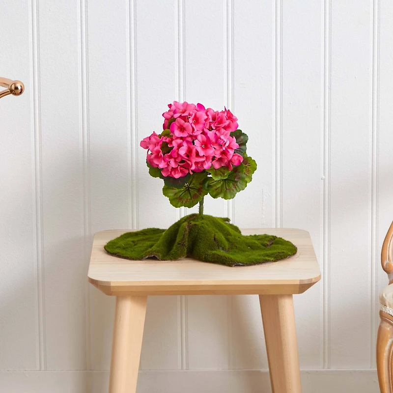 Pink Geranium Bush, 4ct.