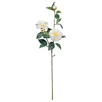 34" Camellia Spray Stem by Ashland
