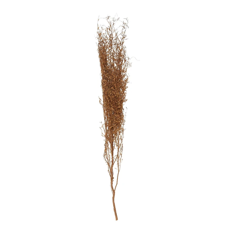 45" Brown Dried Natural Pampas Grass Foliage