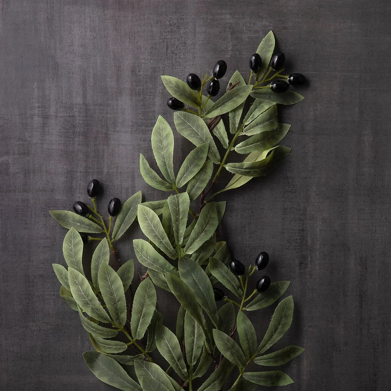 12 Pack: Olive Branch Spray by Ashland®