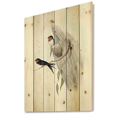 Designart - Vintage Australian Bird Illustrations II