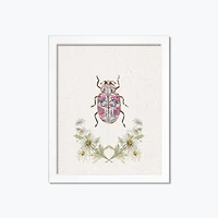 Floral Insect 16" x 20" White Framed Print Under Plexiglass
