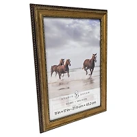 Home Gold Pompeii Wood Wall Frame by Studio Décor