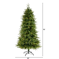 6ft. Pre-Lit Vancouver Fir Natural Look Artificial Christmas Tree, Clear LED Lights
