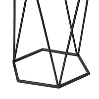 Glitzhome® Modern Hexagon Black Metal Planter Set