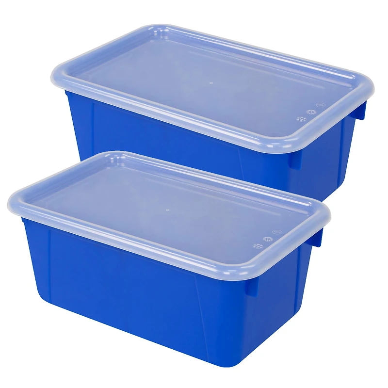 Storex Small Cubby Bin with Cover