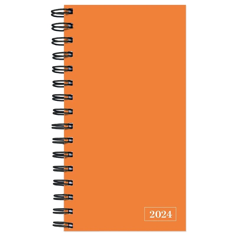 TF Publishing 2024 Citrus Orange Small Weekly Monthly Planner