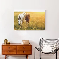 Sunlit Horses 30" x 20" Canvas Wall Art