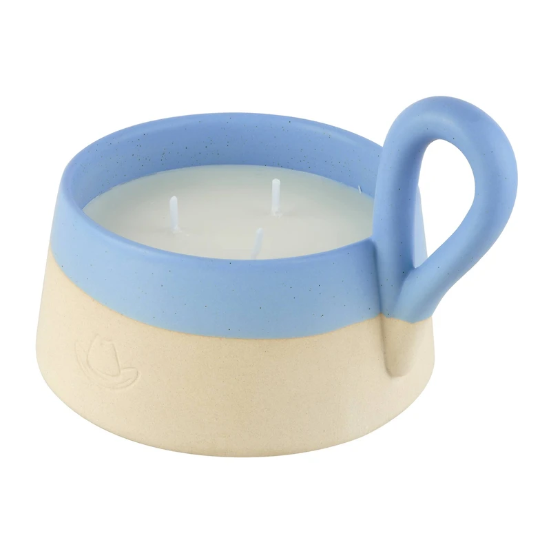 10oz. 3-Wick Scented Ceramic Candle with Handle by Ashland