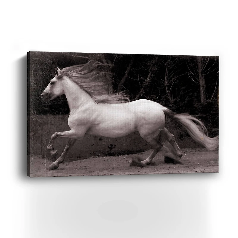 Lumaprints Forest Adventure Giclée Canvas