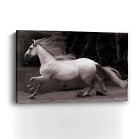 Lumaprints Forest Adventure Giclée Canvas