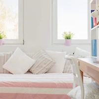 Poly-Fil® 20" x 20" Basic Pillow Inserts, 2ct.