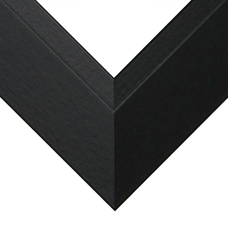 Frame USA Black Series Large Black Single Image Picture Frame with Mat