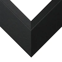 Frame USA Black Series Large Black Single Image Picture Frame with Mat