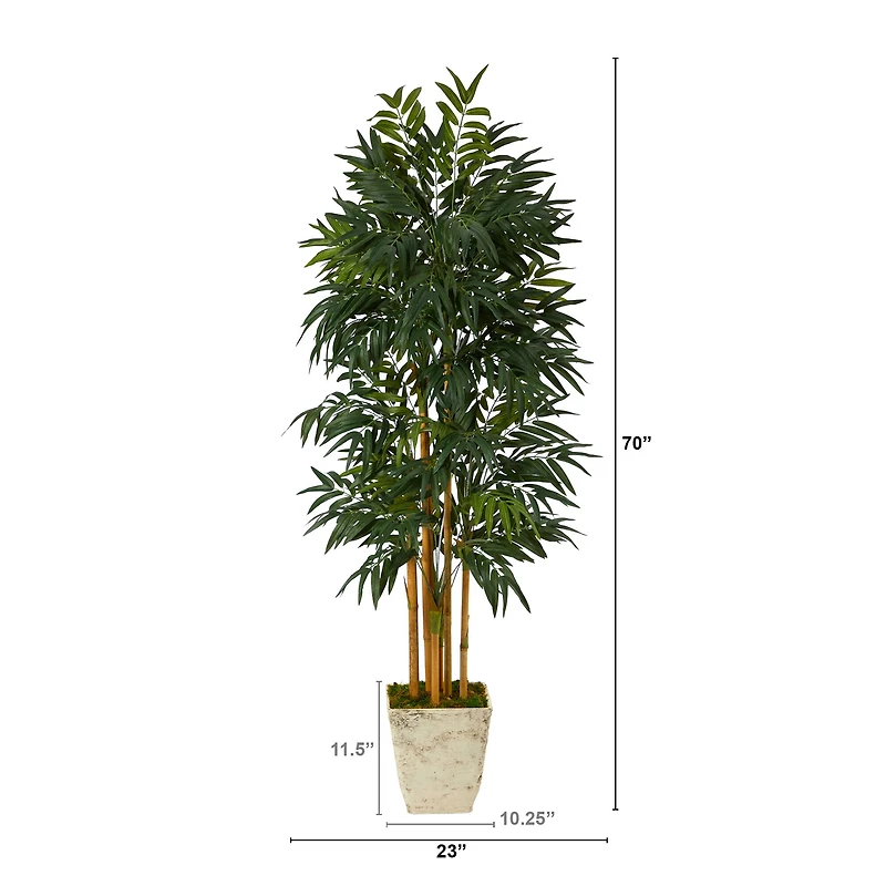 6ft. Phoenix Palm Tree in Country White Planter