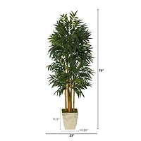 6ft. Phoenix Palm Tree in Country White Planter