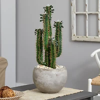 2.5ft. Cactus in Bowl Planter