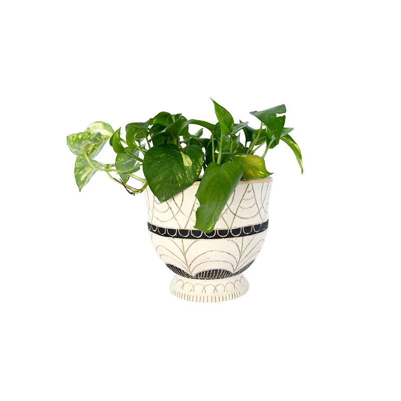 Hello Honey® 7" Debossed Terra Cotta Planter with Pedestal Base