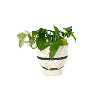 Hello Honey® 7" Debossed Terra Cotta Planter with Pedestal Base