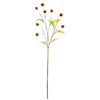 35" Brown Pom Pom Stem by Ashland® 