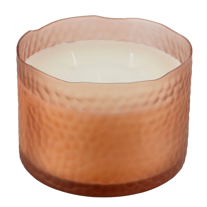16oz. 3-Wick Scented Glass Candle by Ashland