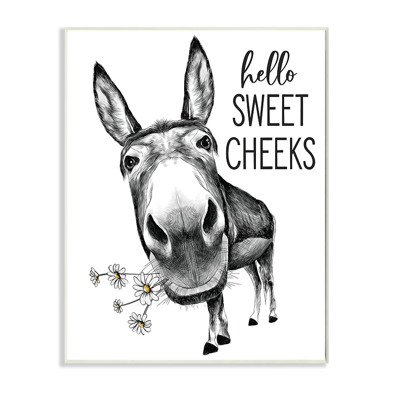Stupell Industries Hello Sweet Cheeks Animal Humor Donkey Daisies Wood Wall Plaque
