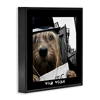 Stupell Industries Dog Dylan Funny Musician Wearing Hat Cityscape Framed Giclee Art