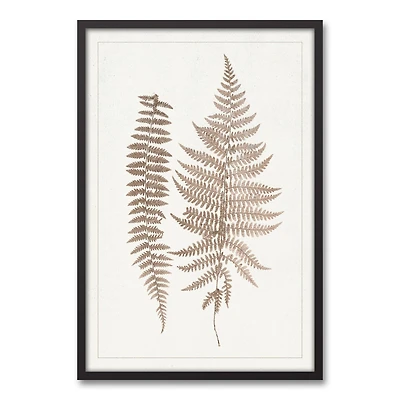 Tan Vintage Ferns I Black Framed Canvas