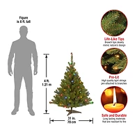 4 ft. Pre-Lit Kincaid Spruce Artificial Christmas Tree