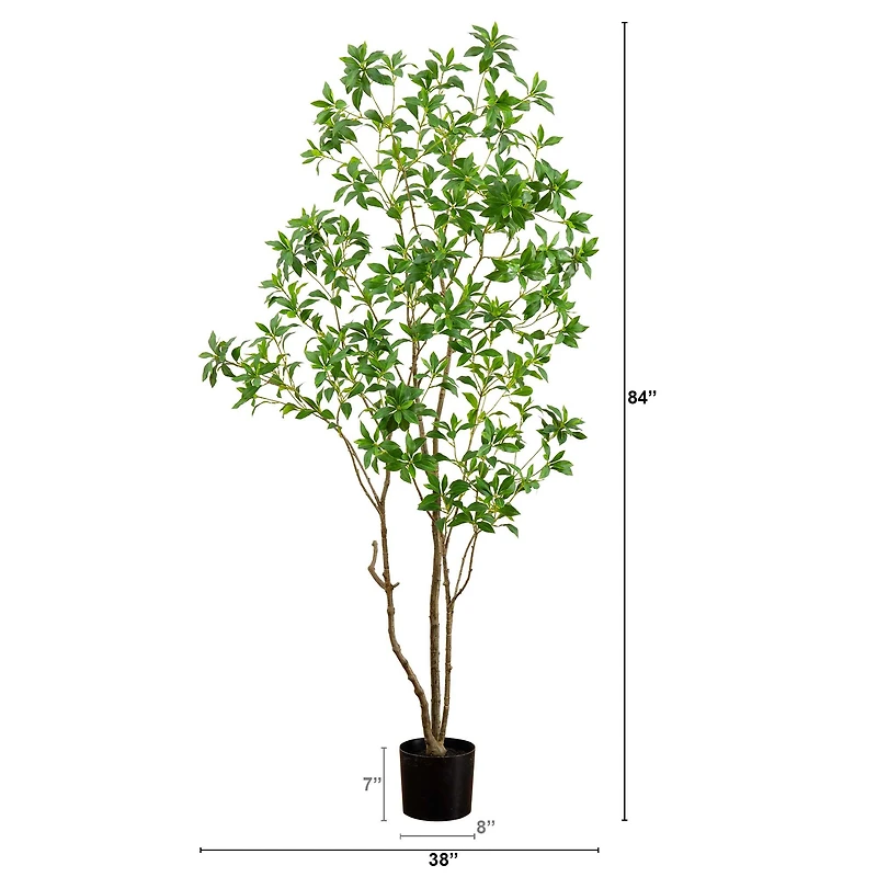 7ft. Potted Minimalist Japanese Pieris Tree with Real Touch Leaves