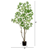 7ft. Potted Minimalist Japanese Pieris Tree with Real Touch Leaves