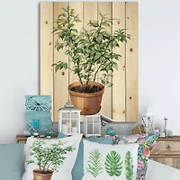Designart - Ficus Benjamina In Clay Flowerpot - Traditional Print on Natural Pine Wood