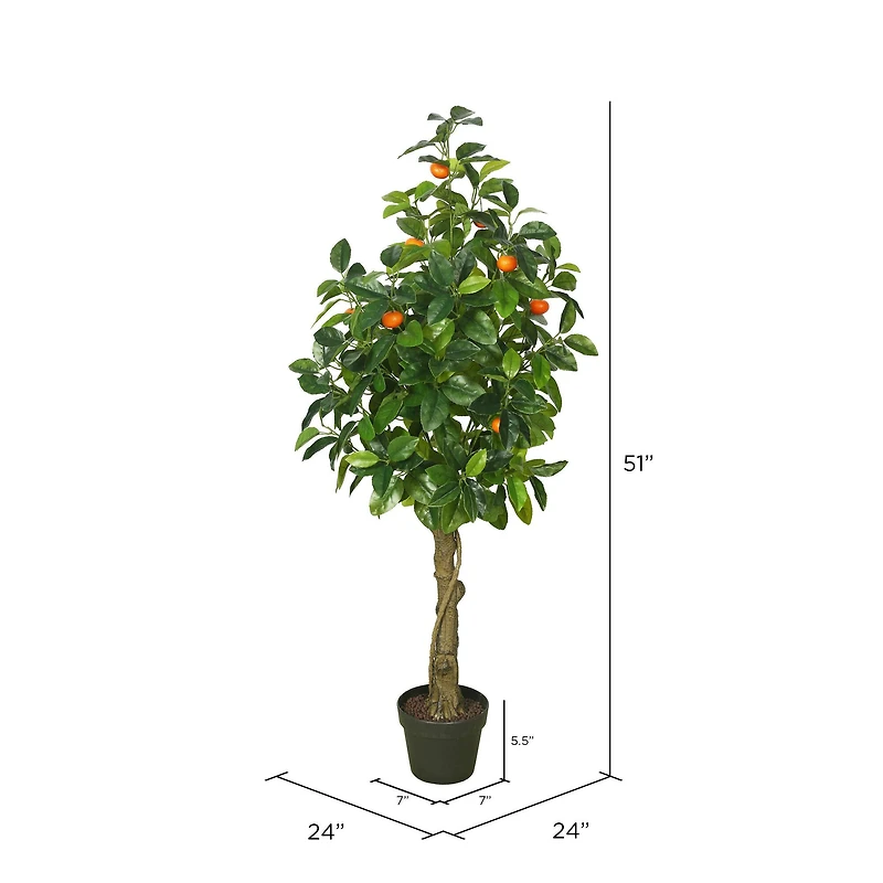 4ft. Potted Orange Tree