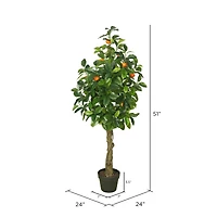 4ft. Potted Orange Tree