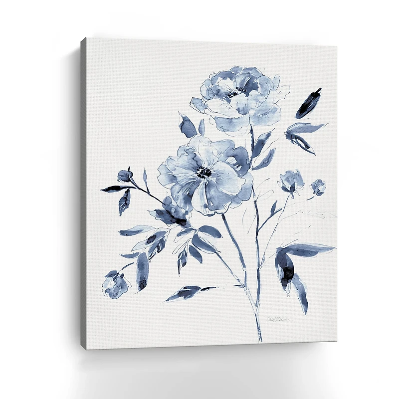 Inky Chickory Botanical II Canvas Giclee