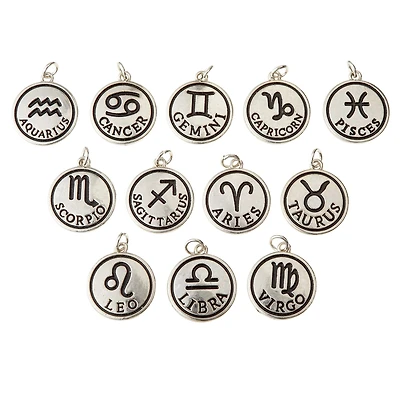 Rhodium-Colored Zodiac Charm Set by Bead Landing™
