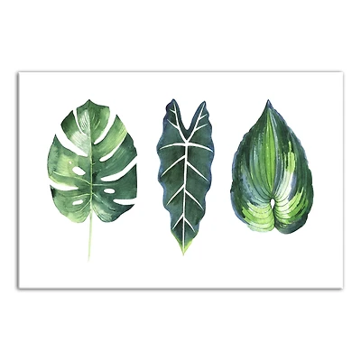 Leaf Types 18" x 12' Canvas Wall Art
