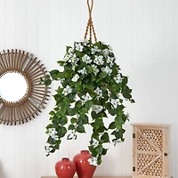 28" Bougainvillea in Hanging Basket