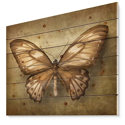 Designart - Vintage Butterfly
