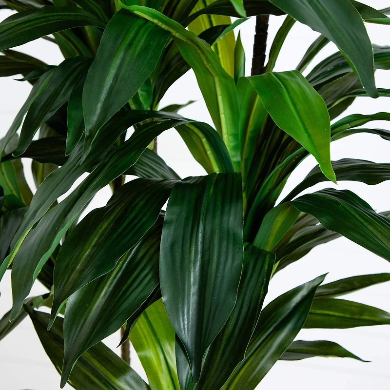 8ft. Potted Green Artificial Dracaena Tree with Real Touch Leaves
