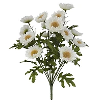 16" Cream Strawflower Bush by Ashland®