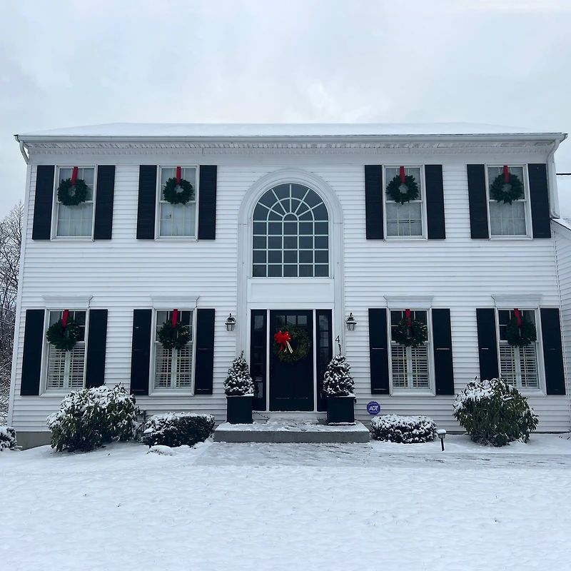 24" Lush Mixed Pine Artificial Christmas Wreath