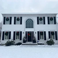 24" Lush Mixed Pine Artificial Christmas Wreath