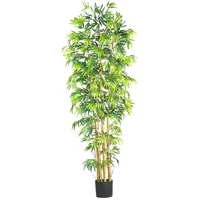7ft. Potted Bambusa Bamboo Tree