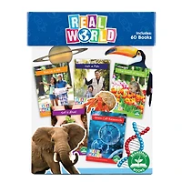Beanstalk Books Decodable Readers Real World Readers Set